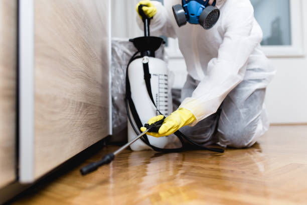 Pest Control Cost in Perry Hall, MD