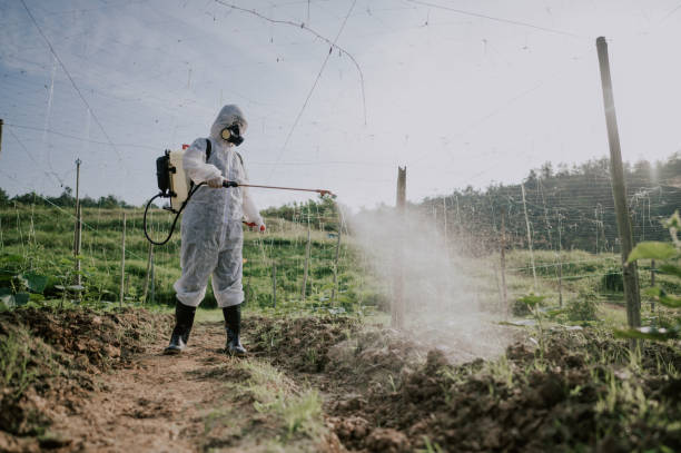 Best Mosquito Control Services  in Perry Hall, MD