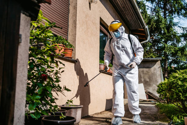 Best Rat Extermination Near Me  in Perry Hall, MD