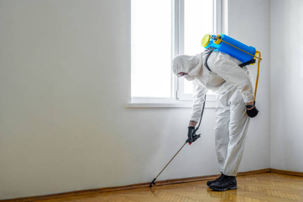 Best Best Pest Control Companies  in Perry Hall, MD