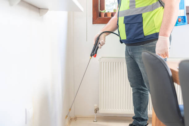 Reliable Perry Hall, MD Pest Control Solutions