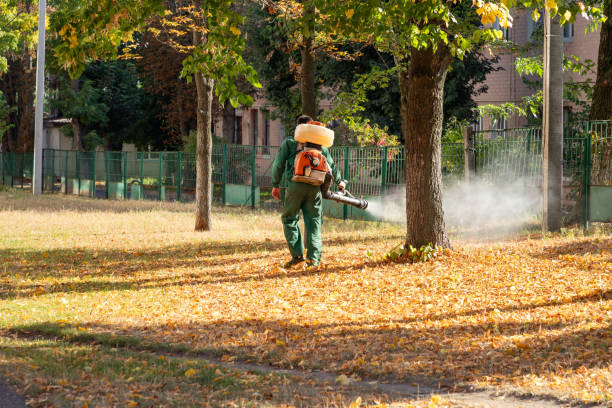 Best Flea Control Services  in Perry Hall, MD