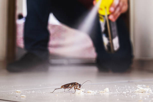 Professional Pest Control in Perry Hall, MD