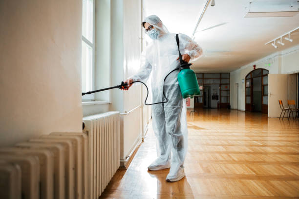 Best Pest Control Near Me in Perry Hall, MD