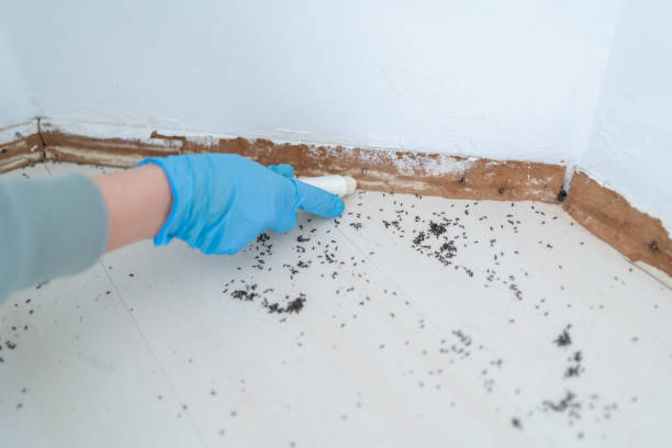 Best Wildlife Control Services  in Perry Hall, MD
