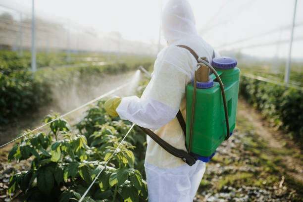 Best Bed Bug Extermination  in Perry Hall, MD